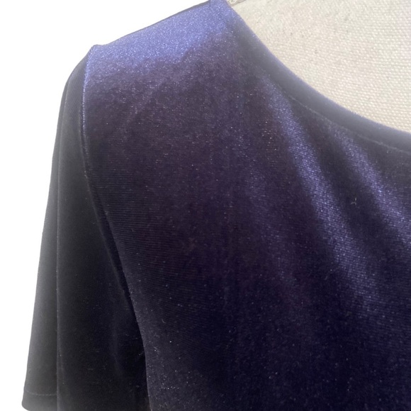 Ann Taylor navy velvet short sleeve stretch scoop neck top size medium - Picture 5 of 10